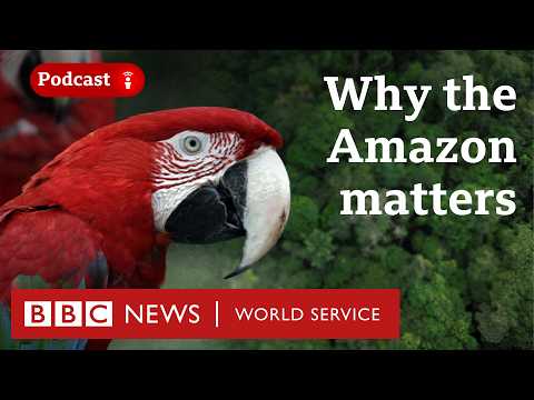 YouTube video thumbnail: Is the Amazon Rainforest Dying?