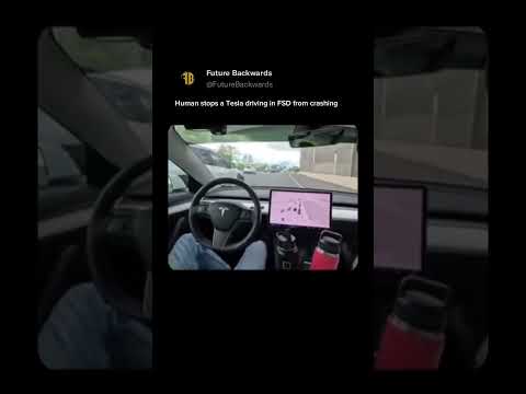 Human stops a Tesla driving in FSD from crashing