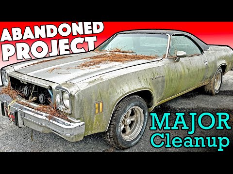 REVIVING an Abandoned BIG BLOCK El Camino Project