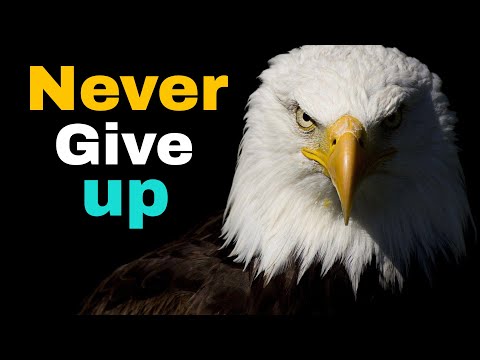बाज की ये कहानी आपकी ज़िंदगी बदल देगी। Eagle motivational story in hindi. #shorts