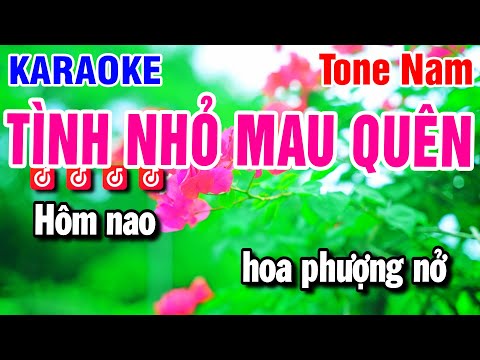 Karaoke Tình Nhỏ Mau Quên Nhạc Sống Tone Nam | Beat Huỳnh Anh