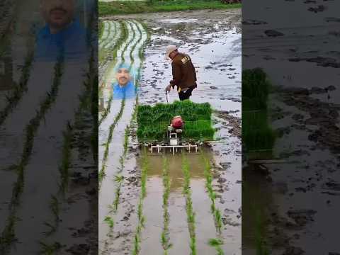 Small machine for agricultural in punjab #ytshorts #foryou #farming #agriculture #punjabi #facts