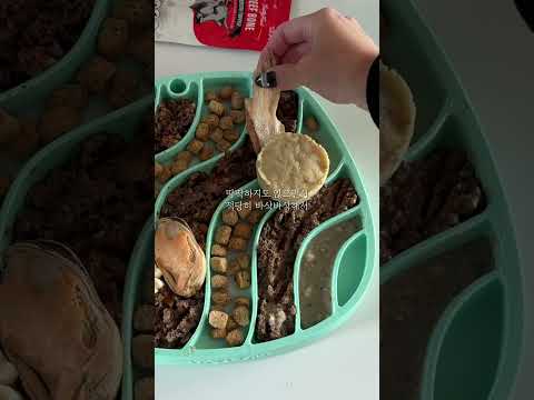 물결 그릇에 루카가 고르는 맘마로 밥차리기