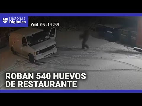 Roban más de 500 huevos de un restaurante en Seattle ante la subida de precios por la gripe aviar