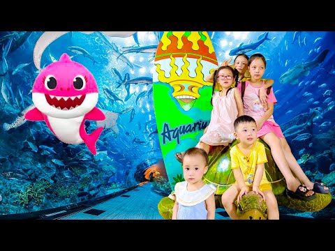 Changcady dẫn khối nghỉ hè đi thủy cung, gặp bạch tuộc, cá mập khổng lồ - Cam Cam TV
