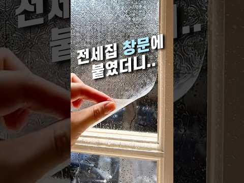 전세집 창문에 이걸 붙였더니