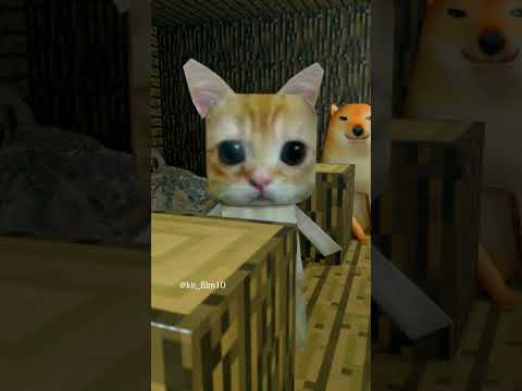 HELP Meme cats UPGRADE SCHOOL RTX20% #bananacat  #minecraft