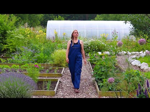 The Garden in July 🌿 Garden Tour, Propagating Lavender, and Planting Berry Bushes