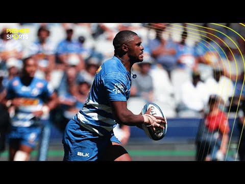 HIGHLIGHTS | DHL Stormers 40-0 Sale Sharks | South Africans dominate in must-win game in Cape Town