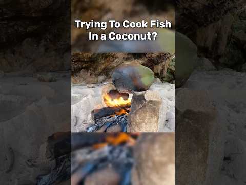Cooking Fish In a Coconut?