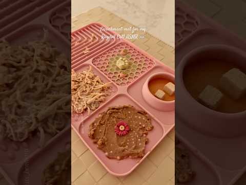 Enrichment mat for my ragdoll cat! ASMR 🎧 #ragdollcat #catfeeding #catfood #asmr #asmrsounds #cats