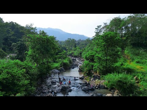 NGINTIP ORANG MANDI DI SUNGAI PAKE DRONE | DRONE DJI