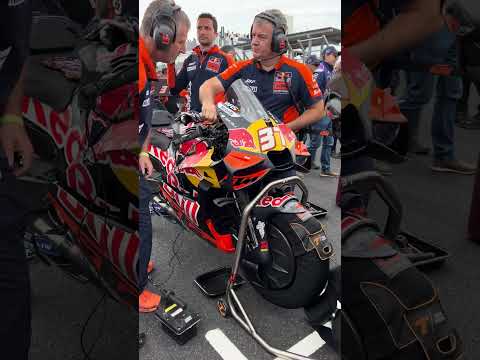 MotoGP 🔥 Pedro Acosta Grid 🔥 Red Bull KTM Factory Racing 🔥