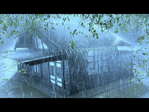Sleep Peacefully in the Pouring Rain & Thunder Roaring on Rickety Tin Roof in Rainforest at Night
