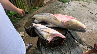Amigos de la Pesca cap 42:  Cómo cocinar un pez monstruo (PARTE 2)