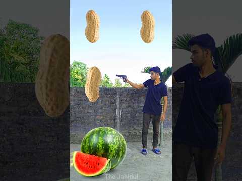 Rounding peanut to Grapes, Mango, lichi & Watermelon - Fruits names magic video