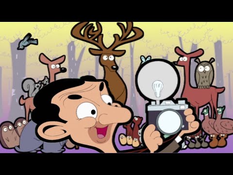 Mr Bean The Wildlife Photographer! | Mr Bean Animated Season 1 | Full Episodes | Mr Bean Official