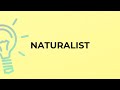 Understanding the Term 'Naturalist'