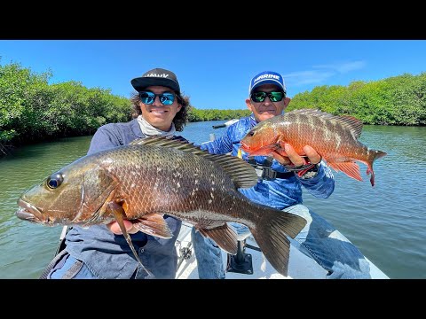 Pesca en Manglares INFESTADOS de Pargos y Robalos en Sinaloa!