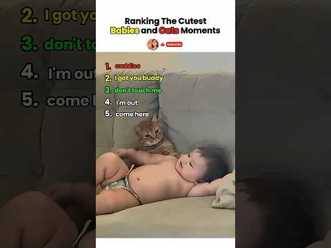 Babies and Cats