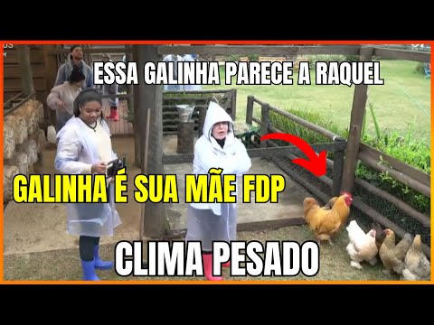 A FAZENDA 16: YURI APELIDA RAQUEL DE GALINHA ELA NÃO GOSTA E REBATE "GALINHA É SUA MÃE AQUEL...