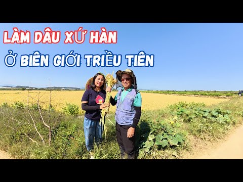 Cuộc Sống Vợ Việt Chồng Hàn Quốc Ở Gần Biên Giới Triều Tiên