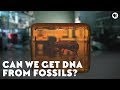 Ancient DNA Research Insights