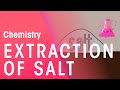 Sodium Chloride and Solution Mining