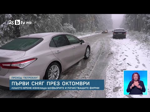 Сняг вали на Петрохан, ниска е видимостта, има опасност от паднали дървета