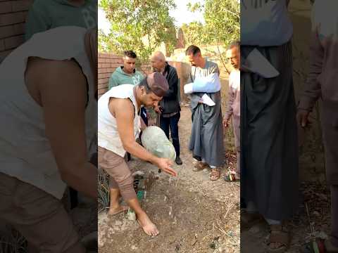 اخرتها متر في متر