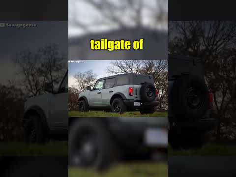 Ford Doesn't Like Their Own Logo?