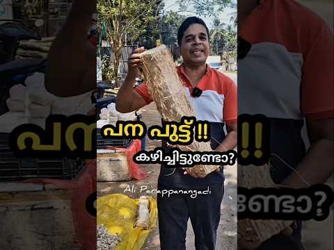 പന പുട്ട് കഴിച്ചിട്ടുണ്ടോ  #shorts