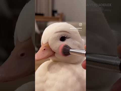 بطه تضع الميك اب 💛