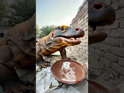 (Ai Animals) Le dragon de Komodo boit de l’eau et s’enfuit dans la grotte. #animalolympics