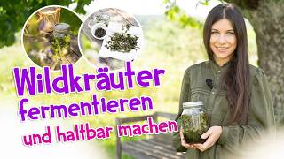 Kräuter fermentieren: So machst du deine Ernte lange haltbar