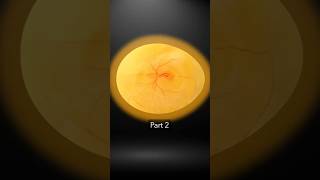 First Heartbeat part 2