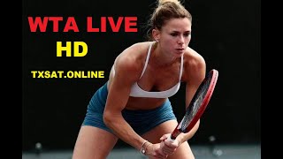 Foxstream live