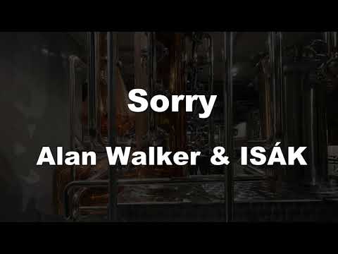 Karaoke♬ Sorry – Alan Walker & ISÁK 【No Guide Melody】 Instrumental