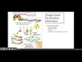 DNA Sequencing Techniques and Concepts