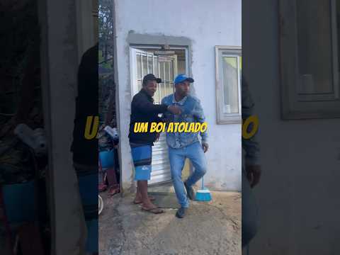 Pense no touro brabo #comediabrasileira #comedia #humor #piadascurtas