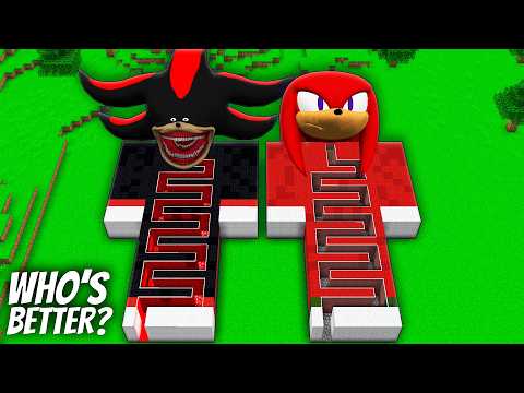 I found a SONIC SHADOW vs SONIC MAZE in Minecraft ! Who's BETTER SONIC Knucklehead vs SONIC TAPES !