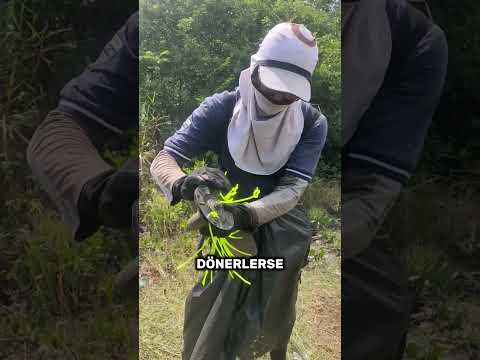 Plastik etiketler bıçak kadar güçlü olabilir mi? 😳