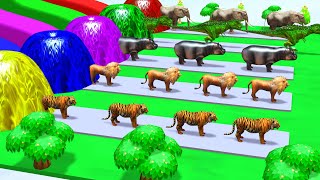 5 Giant Duck Cartoon, Cow, Mammoth, Elephant, Lion, Paint Wild Animals Crossing Fountain Animation
