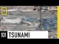 Understanding Tsunamis