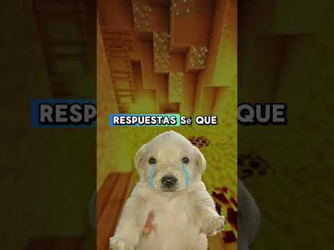 "Espera, si te apareció éste video es porque" 🐶🌧️
