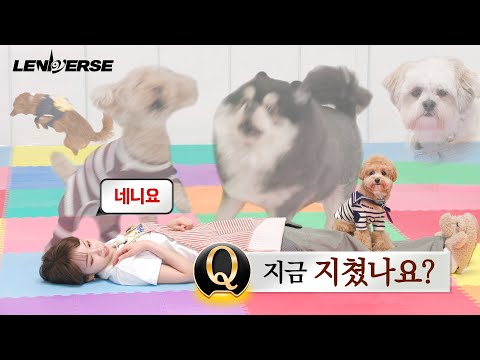 [LENIVERSE] 강아지 펫시터 : 지금 지쳤나요? 네니요 l EP.60