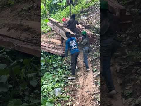 This man is tense carrying heavy wood using a motorbike #shorts