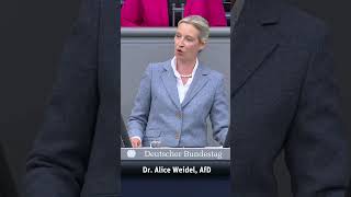 Dr. Weidel tobt: "Für eine WOKE-linke Ideologie will niemand sein Leben lassen."