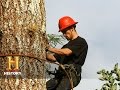 Key Concepts in Logging and Leadership
