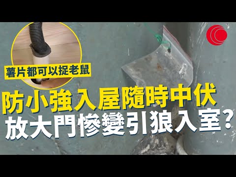 一線搜查|防小強入屋隨時中伏 放大門慘變引狼入室? 香港害蟲愈來愈猖狂 用薯片都可以捉老鼠?|864集|有線新聞 余琦琪| #一線搜查|HOYTV 77台 #有線 #hoytv #上水